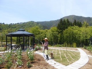 DSCN0963.JPG