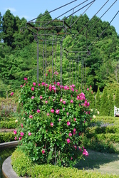 DSC_2156.JPG