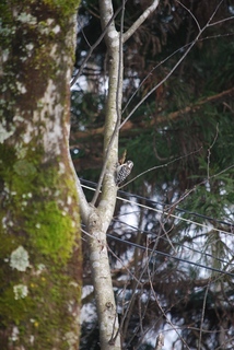 DSC_7354.JPG