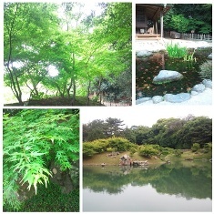 写真A.jpg