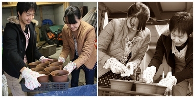 球根運ぶ.jpg