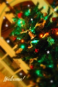 christmas tree.jpg